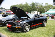 MUSTANG